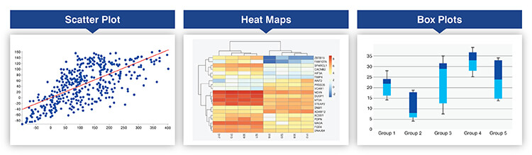 Advanced and multivariate visualizations